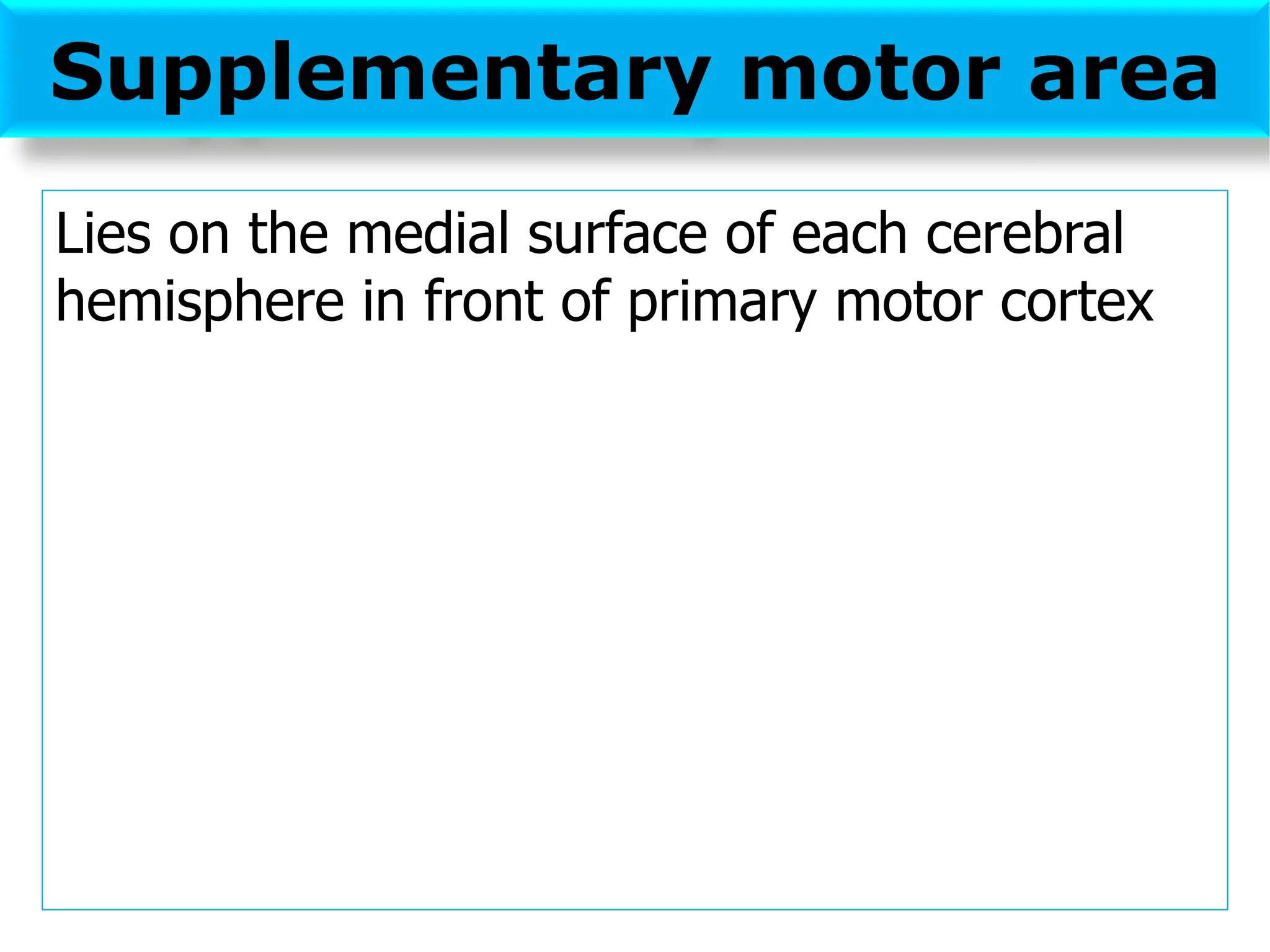 Supplementary motor area
Lies on the medial surface of each cerebral
hemisphere in front of primary motor cortex
 