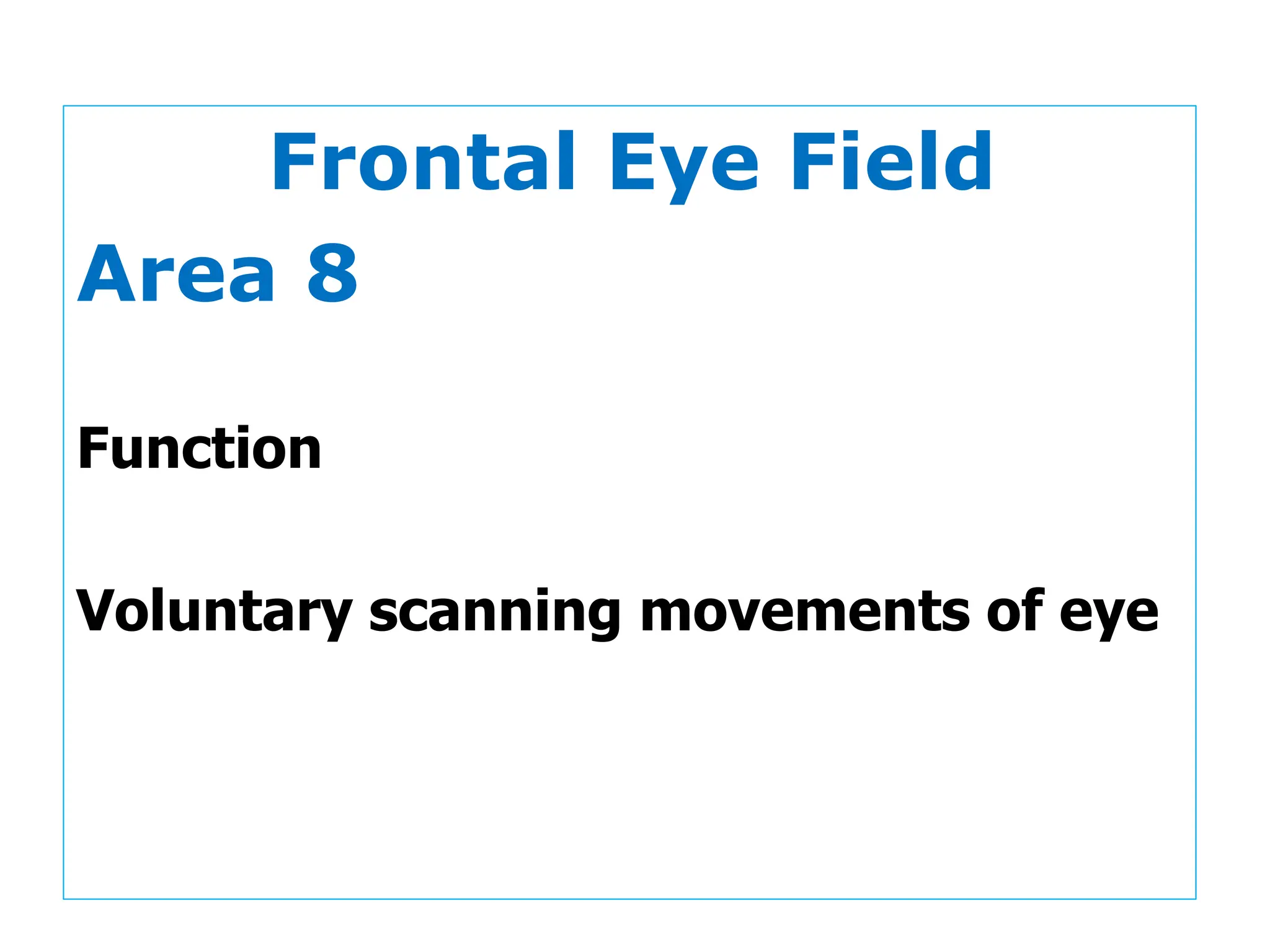 Frontal Eye Field
Area 8
Function
Voluntary scanning movements of eye
 