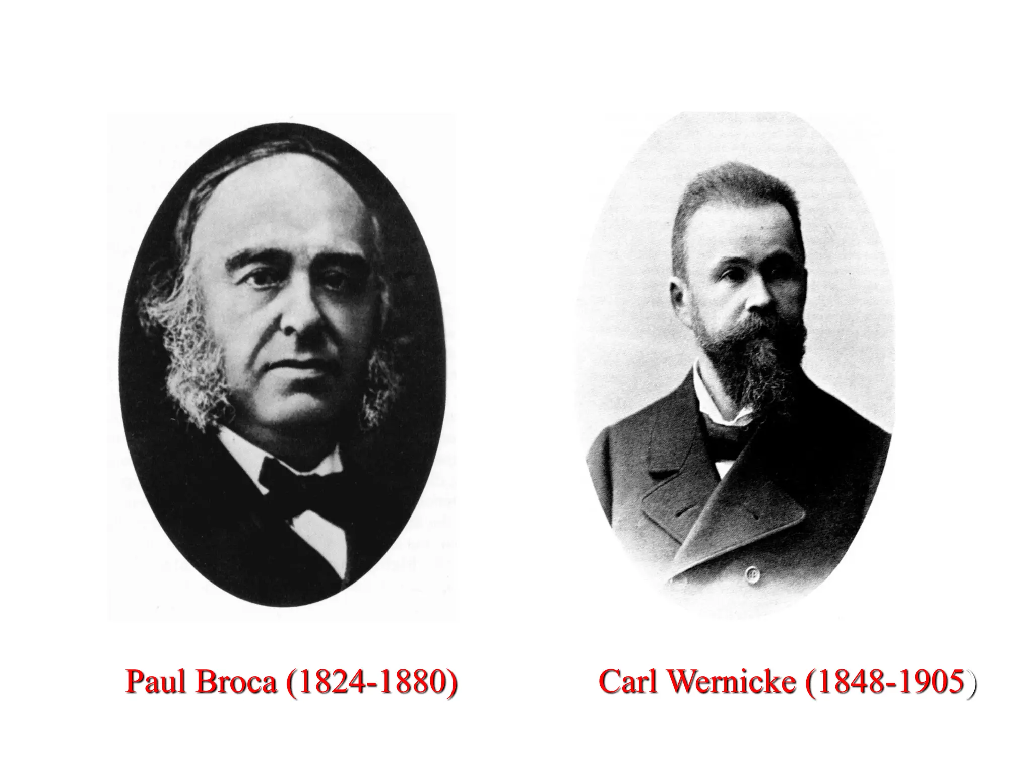 Paul Broca (1824-1880) Carl Wernicke (1848-1905)
 