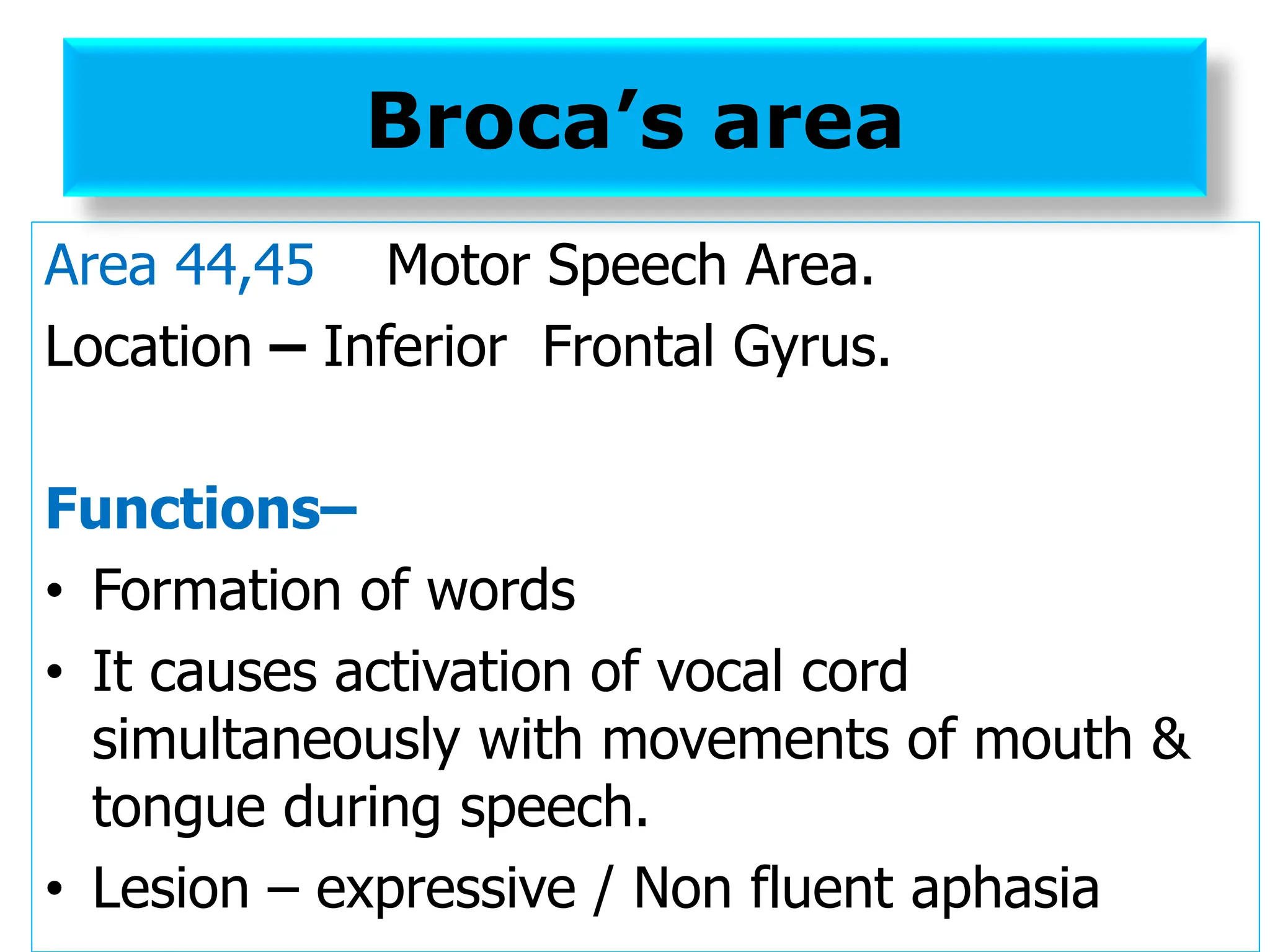 Broca’s area
Area 44,45 Motor Speech Area.
Location – Inferior Frontal Gyrus.
Functions–
• Formation of words
• It causes activation of vocal cord
simultaneously with movements of mouth &
tongue during speech.
• Lesion – expressive / Non fluent aphasia
 