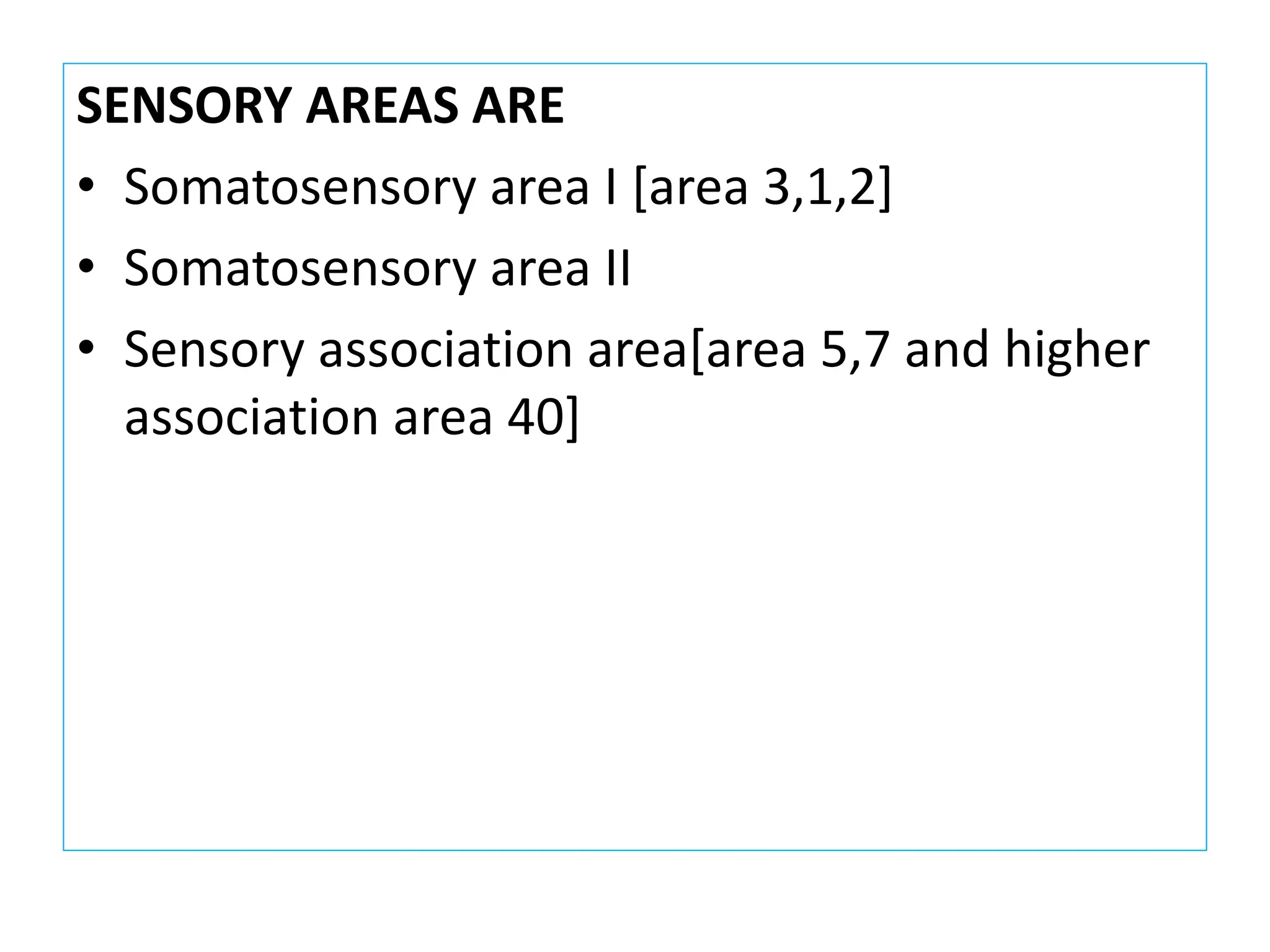 SENSORY AREAS ARE
• Somatosensory area I [area 3,1,2]
• Somatosensory area II
• Sensory association area[area 5,7 and higher
association area 40]
 