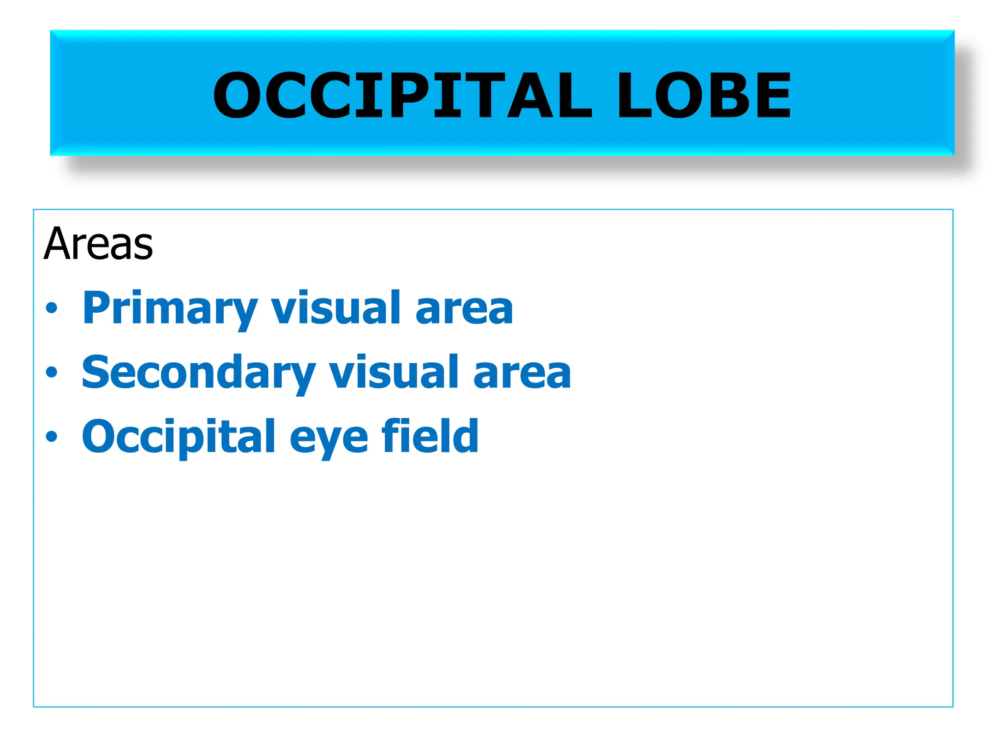 OCCIPITAL LOBE
Areas
• Primary visual area
• Secondary visual area
• Occipital eye field
 