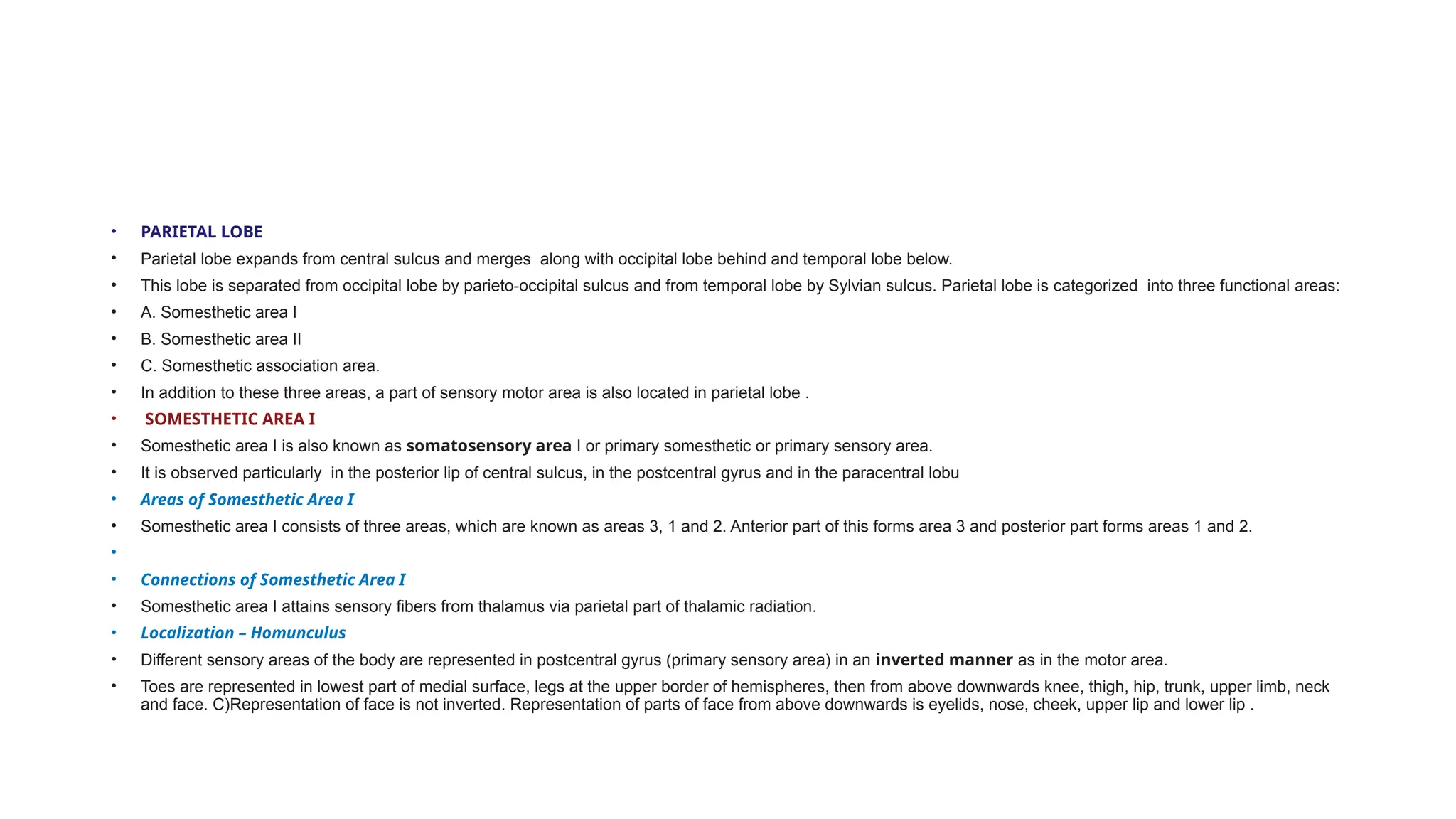 • PARIETAL LOBE
• Parietal lobe expands from central sulcus and merges along with occipital lobe behind and temporal lobe below.
• This lobe is separated from occipital lobe by parieto-occipital sulcus and from temporal lobe by Sylvian sulcus. Parietal lobe is categorized into three functional areas:
• A. Somesthetic area I
• B. Somesthetic area II
• C. Somesthetic association area.
• In addition to these three areas, a part of sensory motor area is also located in parietal lobe .
• SOMESTHETIC AREA I
• Somesthetic area I is also known as somatosensory area I or primary somesthetic or primary sensory area.
• It is observed particularly in the posterior lip of central sulcus, in the postcentral gyrus and in the paracentral lobu
• Areas of Somesthetic Area I
• Somesthetic area I consists of three areas, which are known as areas 3, 1 and 2. Anterior part of this forms area 3 and posterior part forms areas 1 and 2.
•
• Connections of Somesthetic Area I
• Somesthetic area I attains sensory fibers from thalamus via parietal part of thalamic radiation.
• Localization – Homunculus
• Different sensory areas of the body are represented in postcentral gyrus (primary sensory area) in an inverted manner as in the motor area.
• Toes are represented in lowest part of medial surface, legs at the upper border of hemispheres, then from above downwards knee, thigh, hip, trunk, upper limb, neck
and face. C)Representation of face is not inverted. Representation of parts of face from above downwards is eyelids, nose, cheek, upper lip and lower lip .
 