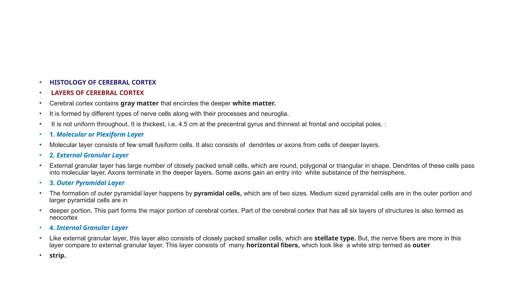 • HISTOLOGY OF CEREBRAL CORTEX
• LAYERS OF CEREBRAL CORTEX
• Cerebral cortex contains gray matter that encircles the deeper white matter.
• It is formed by different types of nerve cells along with their processes and neuroglia.
• It is not uniform throughout. It is thickest, i.e. 4.5 cm at the precentral gyrus and thinnest at frontal and occipital poles. :
• 1. Molecular or Plexiform Layer
• Molecular layer consists of few small fusiform cells. It also consists of dendrites or axons from cells of deeper layers.
• 2. External Granular Layer
• External granular layer has large number of closely packed small cells, which are round, polygonal or triangular in shape. Dendrites of these cells pass
into molecular layer. Axons terminate in the deeper layers. Some axons gain an entry into white substance of the hemisphere.
• 3. Outer Pyramidal Layer
• The formation of outer pyramidal layer happens by pyramidal cells, which are of two sizes. Medium sized pyramidal cells are in the outer portion and
larger pyramidal cells are in
• deeper portion. This part forms the major portion of cerebral cortex. Part of the cerebral cortex that has all six layers of structures is also termed as
neocortex
• 4. Internal Granular Layer
• Like external granular layer, this layer also consists of closely packed smaller cells, which are stellate type. But, the nerve fibers are more in this
layer compare to external granular layer. This layer consists of many horizontal fibers, which look like a white strip termed as outer
• strip.
 