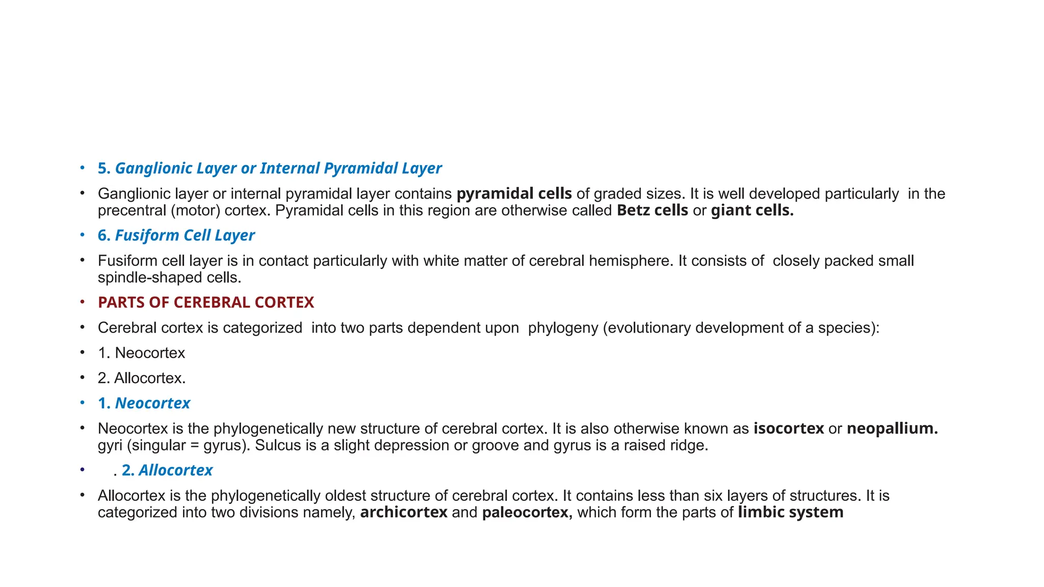 • 5. Ganglionic Layer or Internal Pyramidal Layer
• Ganglionic layer or internal pyramidal layer contains pyramidal cells of graded sizes. It is well developed particularly in the
precentral (motor) cortex. Pyramidal cells in this region are otherwise called Betz cells or giant cells.
• 6. Fusiform Cell Layer
• Fusiform cell layer is in contact particularly with white matter of cerebral hemisphere. It consists of closely packed small
spindle-shaped cells.
• PARTS OF CEREBRAL CORTEX
• Cerebral cortex is categorized into two parts dependent upon phylogeny (evolutionary development of a species):
• 1. Neocortex
• 2. Allocortex.
• 1. Neocortex
• Neocortex is the phylogenetically new structure of cerebral cortex. It is also otherwise known as isocortex or neopallium.
gyri (singular = gyrus). Sulcus is a slight depression or groove and gyrus is a raised ridge.
• . 2. Allocortex
• Allocortex is the phylogenetically oldest structure of cerebral cortex. It contains less than six layers of structures. It is
categorized into two divisions namely, archicortex and paleocortex, which form the parts of limbic system
 