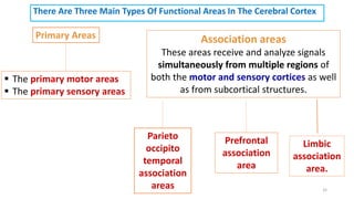 There Are Three Main Types Of Functional Areas In The Cerebral Cortex
Primary Areas Association areas
These areas receive and analyze signals
simultaneously from multiple regions of
both the motor and sensory cortices as well
as from subcortical structures.
 The primary motor areas
 The primary sensory areas
Parieto
occipito
temporal
association
areas
Prefrontal
association
area
Limbic
association
area.
32
 