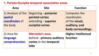 1. Parieto-Occipito temporal association areas
Area Site Function
1) Analysis of the
spatial
coordinates of
the body
Beginning - posterior
parietal cortex
extending - superior
occipital cortex
Computes the
coordinates
of the visual,
auditory, and
body surroundings.
2) Area for
language
comprehension.
Wernicke’s area,
behind - primary auditory
cortex in the temporal
lobe
Higher intellectual
function
34
 