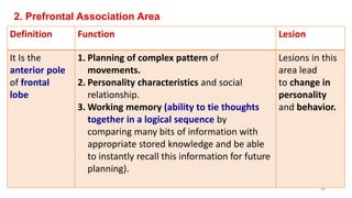 2. Prefrontal Association Area
Definition Function Lesion
It Is the
anterior pole
of frontal
lobe
1. Planning of complex pattern of
movements.
2. Personality characteristics and social
relationship.
3. Working memory (ability to tie thoughts
together in a logical sequence by
comparing many bits of information with
appropriate stored knowledge and be able
to instantly recall this information for future
planning).
Lesions in this
area lead
to change in
personality
and behavior.
36
 