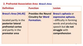 2. Prefrontal Association Area -Broca’s Area
Definition Function Lesion
Broca’s Area [44,45]
located partly in the
posterior lateral
prefrontal cortex
and partly in the
premotor area
Provides the Neural
Circuitry for Word
Formation.
Broca's aphasia or
expressive aphasia.
--difficulty in forming
words and producing
speech but do not
struggle with
comprehension
37
 