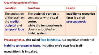 Area of Recognition of Faces
Location Function Lesion
The underside
of the brain on
the medial
occipital and
temporal lobe
The occipital portion is
contiguous with visual
cortex,
while the temporal one is
closely associated with
limbic system.
inability to recognize
faces is called
prosopagnosia
Prosopagnosia, also called face blindness, is a cognitive disorder of
inability to recognize faces, including one's own face (self-
recognition), is impaired. 39
 