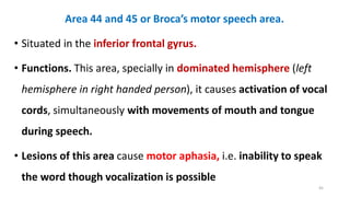 Area 44 and 45 or Broca’s motor speech area.
• Situated in the inferior frontal gyrus.
• Functions. This area, specially in dominated hemisphere (left
hemisphere in right handed person), it causes activation of vocal
cords, simultaneously with movements of mouth and tongue
during speech.
• Lesions of this area cause motor aphasia, i.e. inability to speak
the word though vocalization is possible
45
 