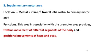 3. Supplementary motor area
Location. – Medial surface of frontal lobe rostral to primary motor
area
Functions. This area in association with the premotor area provides,
fixation movement of different segments of the body and
positional movements of head and eyes.
46
 
