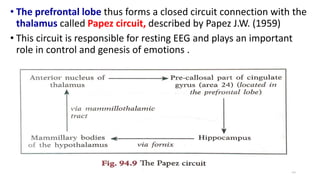 • The prefrontal lobe thus forms a closed circuit connection with the
thalamus called Papez circuit, described by Papez J.W. (1959)
• This circuit is responsible for resting EEG and plays an important
role in control and genesis of emotions .
50
 