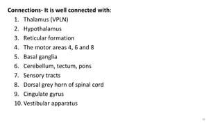 Connections- It is well connected with:
1. Thalamus (VPLN)
2. Hypothalamus
3. Reticular formation
4. The motor areas 4, 6 and 8
5. Basal ganglia
6. Cerebellum, tectum, pons
7. Sensory tracts
8. Dorsal grey horn of spinal cord
9. Cingulate gyrus
10. Vestibular apparatus
58
 