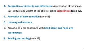 4. Recognition of similarity and differences: Appreciation of the shape,
size, texture and weight of the objects, called stereognosis (area 40).
5. Perception of taste sensation (area 43).
6. Learning and memory.
7. Areas 5 and 7 are concerned with hand object and hand-eye
coordination.
8. Reading and writing (area 39).
61
 