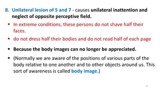 8. Unilateral lesion of 5 and 7 - causes unilateral inattention and
neglect of opposite perceptive field.
 In extreme conditions, these persons do not shave half their
faces.
 do not dress half their bodies and do not read half of each page
 Because the body images can no longer be appreciated.
 (Normally we are aware of the positions of various parts of the
body relative to one another and to other objects around us. This
sort of awareness is called body image.)
63
 