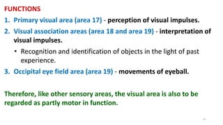 FUNCTIONS
1. Primary visual area (area 17) - perception of visual impulses.
2. Visual association areas (area 18 and area 19) - interpretation of
visual impulses.
• Recognition and identification of objects in the light of past
experience.
3. Occipital eye field area (area 19) - movements of eyeball.
Therefore, like other sensory areas, the visual area is also to be
regarded as partly motor in function.
67
 