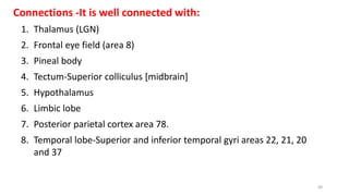 Connections -It is well connected with:
1. Thalamus (LGN)
2. Frontal eye field (area 8)
3. Pineal body
4. Tectum-Superior colliculus [midbrain]
5. Hypothalamus
6. Limbic lobe
7. Posterior parietal cortex area 78.
8. Temporal lobe-Superior and inferior temporal gyri areas 22, 21, 20
and 37
68
 