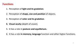 Functions
1. Perception of light and its gradation.
2. Perception of shape, size and position of objects.
3. Perception of color and its gradation.
4. Visual acuity (depth of vision).
5. It has a role in posture and equilibrium.
6. It has a role in memory, language function and other higher functions.
69
 