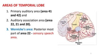 AREAS OF TEMPORAL LOBE
1. Primary auditory area (area 41
and 42) and
2. Auditory association area (area
22, 21 and 20).
3. Wernicke's area: Posterior most
part of area 22 - sensory speech
area.
72
 