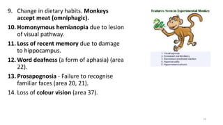 9. Change in dietary habits. Monkeys
accept meat (omniphagic).
10. Homonymous hemianopia due to lesion
of visual pathway.
11. Loss of recent memory due to damage
to hippocampus.
12. Word deafness (a form of aphasia) (area
22).
13. Prosapognosia - Failure to recognise
familiar faces (area 20, 21).
14. Loss of colour vision (area 37).
79
 