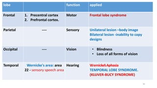 lobe function applied
Frontal 1. Precentral cortex
2. Prefrontal cortex.
Motor Frontal lobe syndrome
Parietal ---- Sensory Unilateral lesion –body image
Bilateral lesion -inability to copy
designs
Occipital ---- Vision • Blindness
• Loss of all forms of vision
Temporal Wernicke's area: area
22 - sensory speech area
Hearing Wernicke’
sAphasia
TEMPORAL LOBE SYNDROME.
(KLUVER-BUCY SYNDROME)
82
 