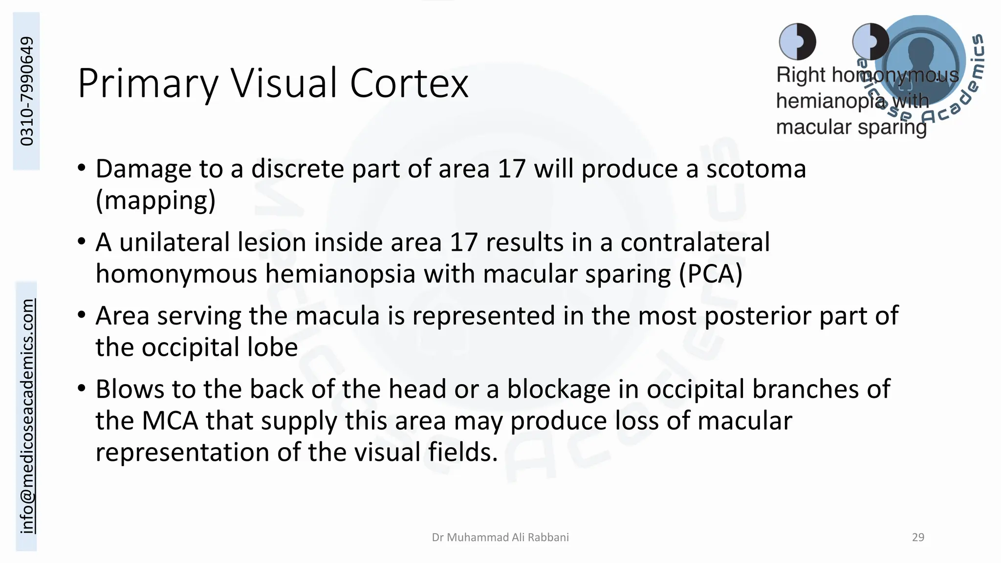 Cerebral Cortex - Functional Areas.pdf