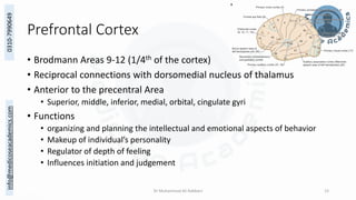 Cerebral Cortex - Functional Areas.pdf