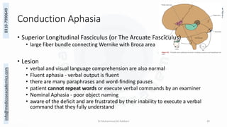 Cerebral Cortex - Functional Areas.pdf