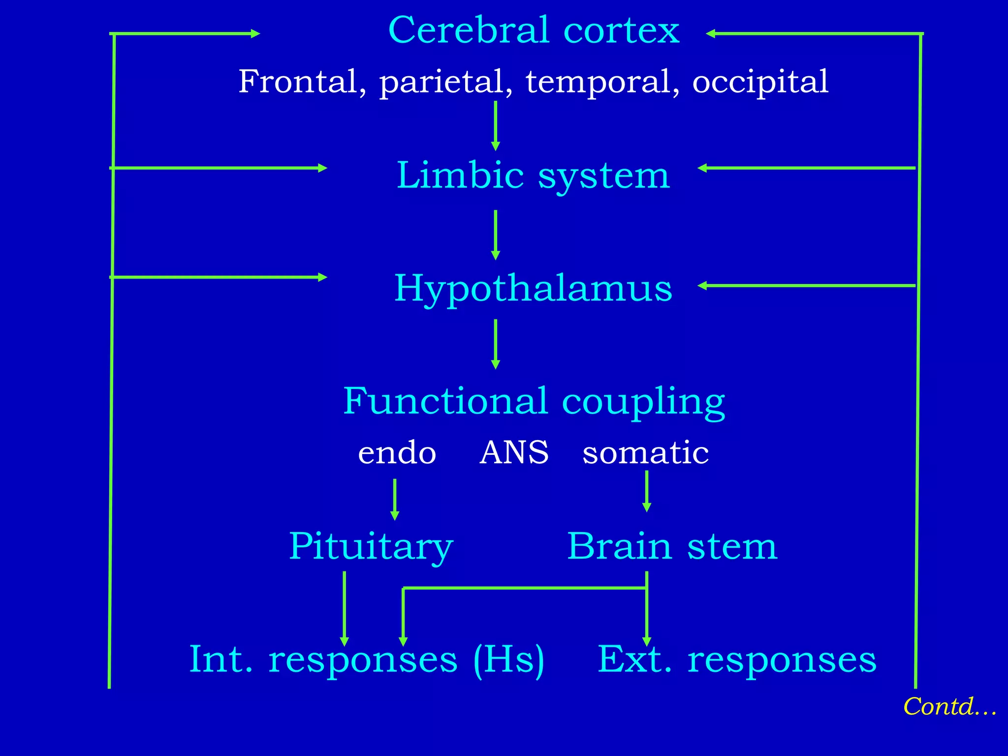 Cerebral cortex
Frontal, parietal, temporal, occipital
Limbic system
Hypothalamus
Functional coupling
endo ANS somatic
Pituitary Brain stem
Int. responses (Hs) Ext. responses
Contd…
 