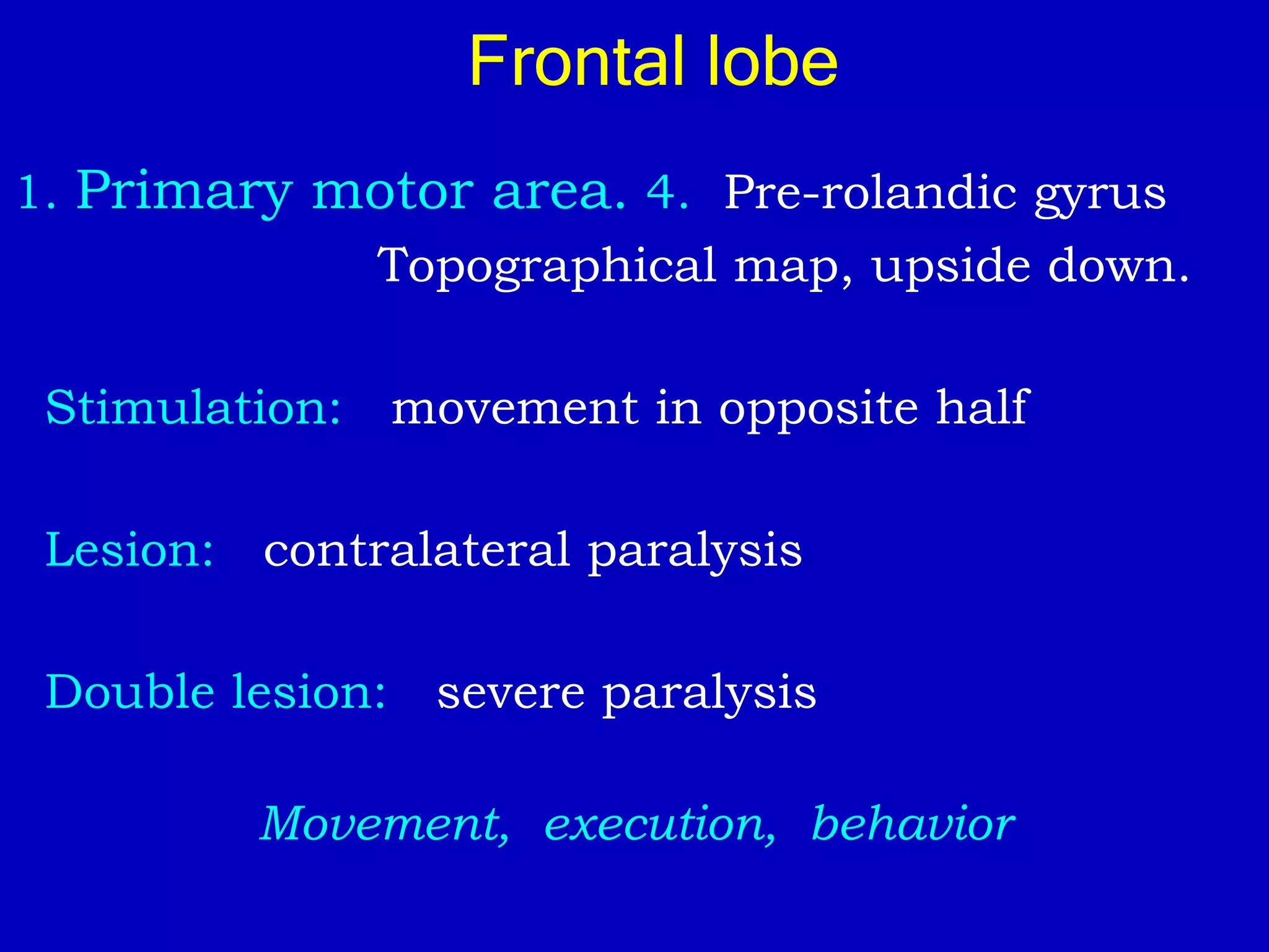 Frontal lobe
1. Primary motor area. 4. Pre-rolandic gyrus
Topographical map, upside down.
Stimulation: movement in opposite half
Lesion: contralateral paralysis
Double lesion: severe paralysis
Movement, execution, behavior
 