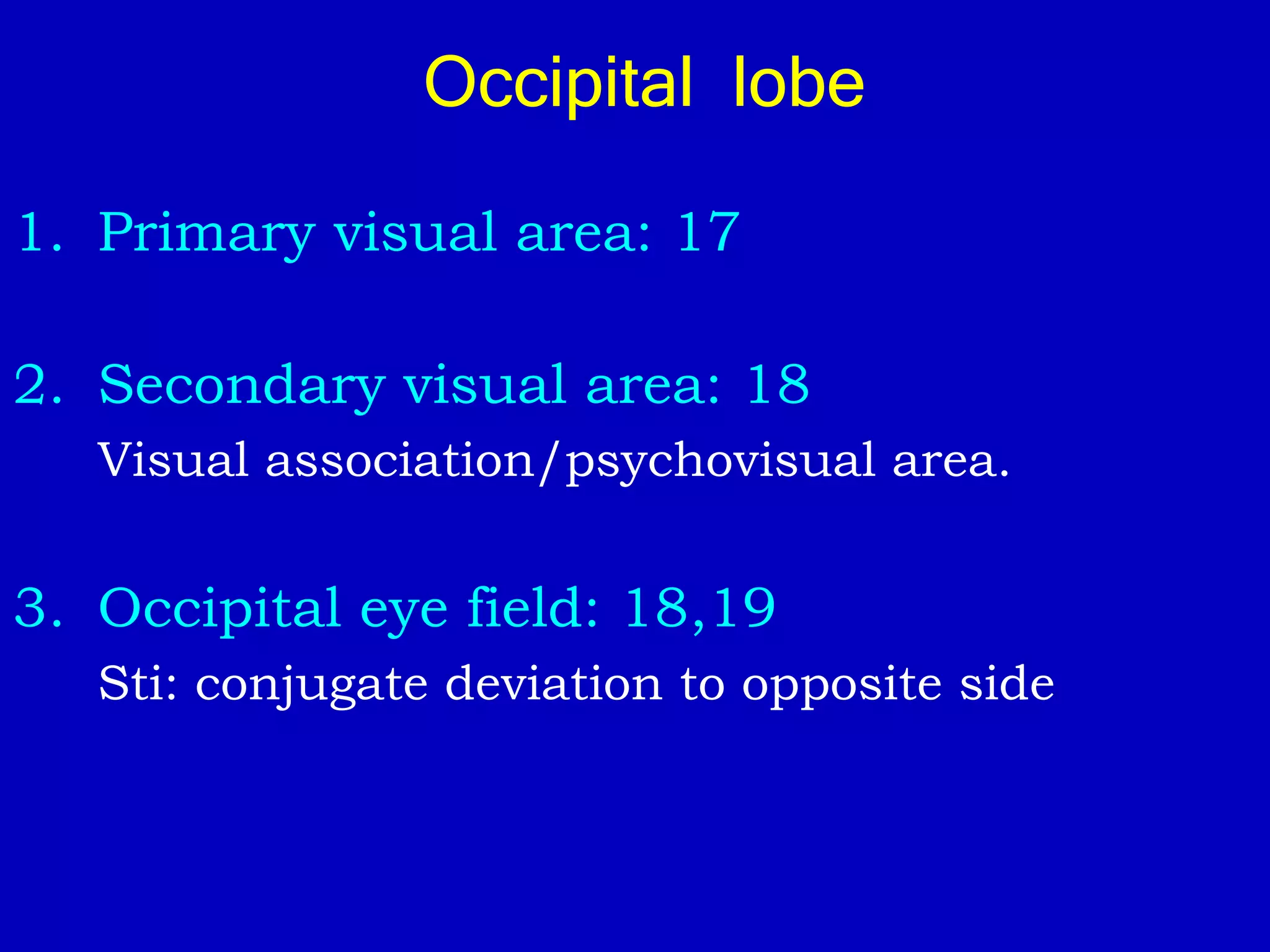Occipital lobe
1. Primary visual area: 17
2. Secondary visual area: 18
Visual association/psychovisual area.
3. Occipital eye field: 18,19
Sti: conjugate deviation to opposite side
 