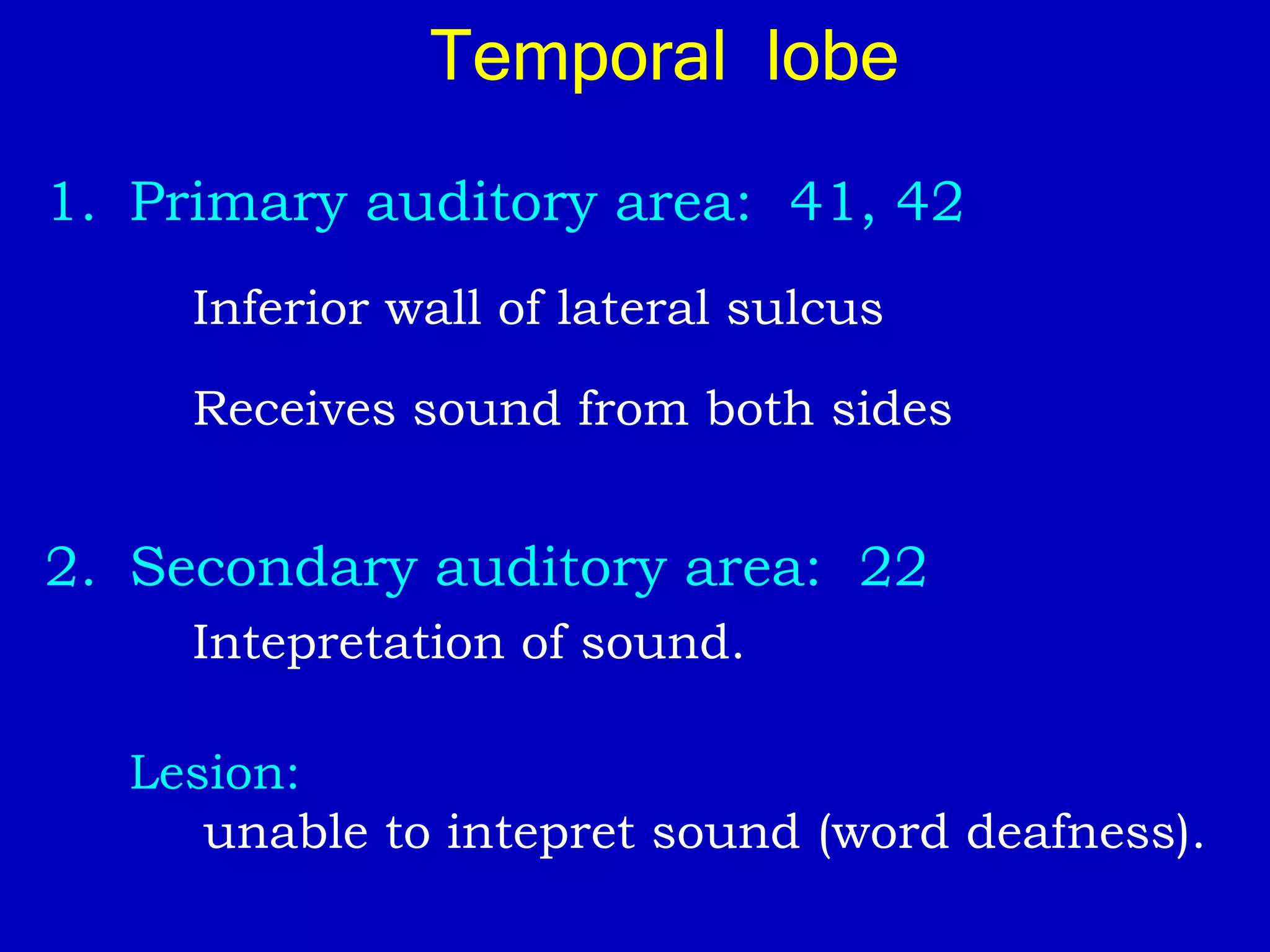 Temporal lobe
1. Primary auditory area: 41, 42
Inferior wall of lateral sulcus
Receives sound from both sides
2. Secondary auditory area: 22
Intepretation of sound.
Lesion:
unable to intepret sound (word deafness).
 