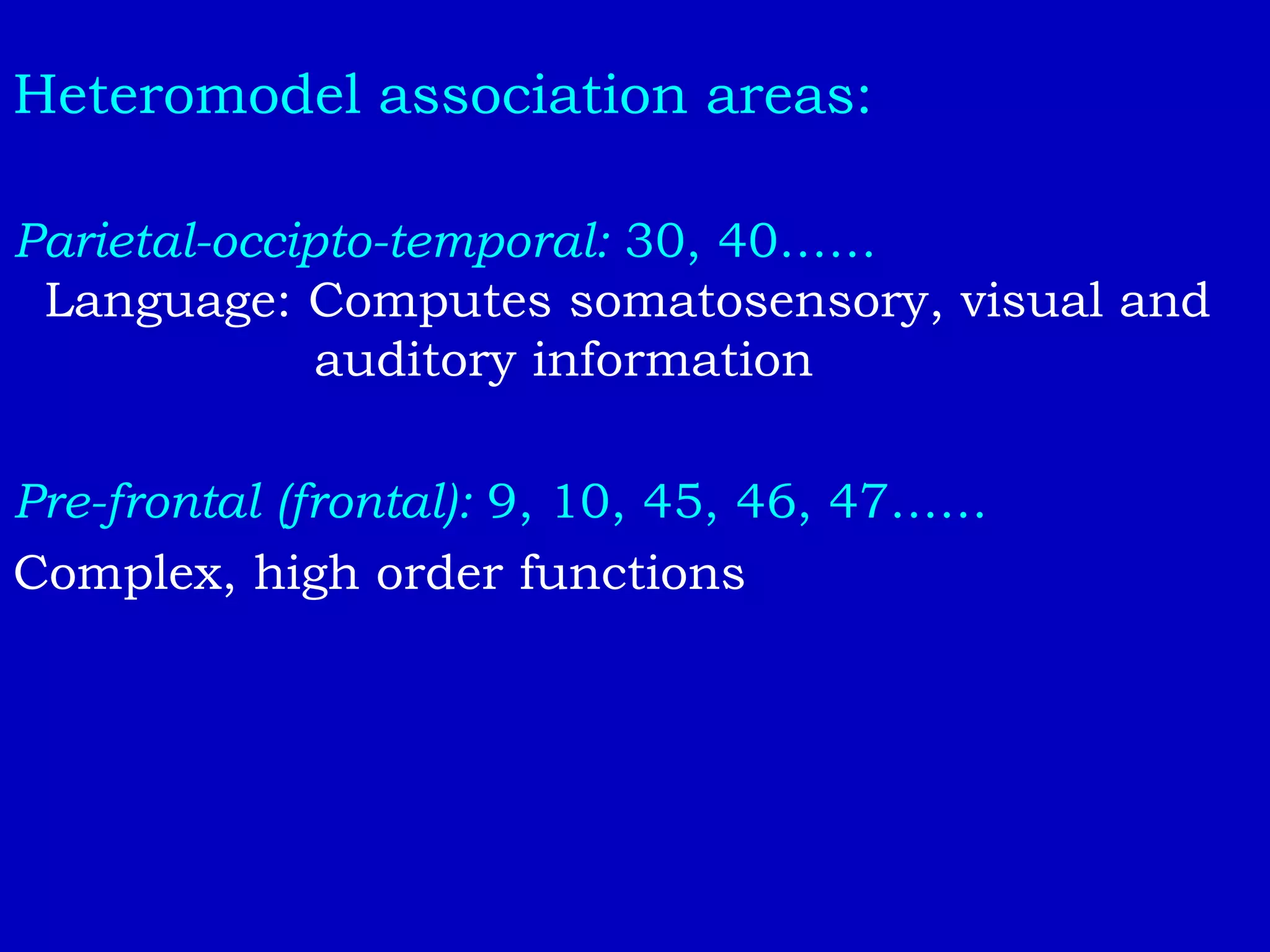 Heteromodel association areas:
Parietal-occipto-temporal: 30, 40……
Language: Computes somatosensory, visual and
auditory information
Pre-frontal (frontal): 9, 10, 45, 46, 47……
Complex, high order functions
 
