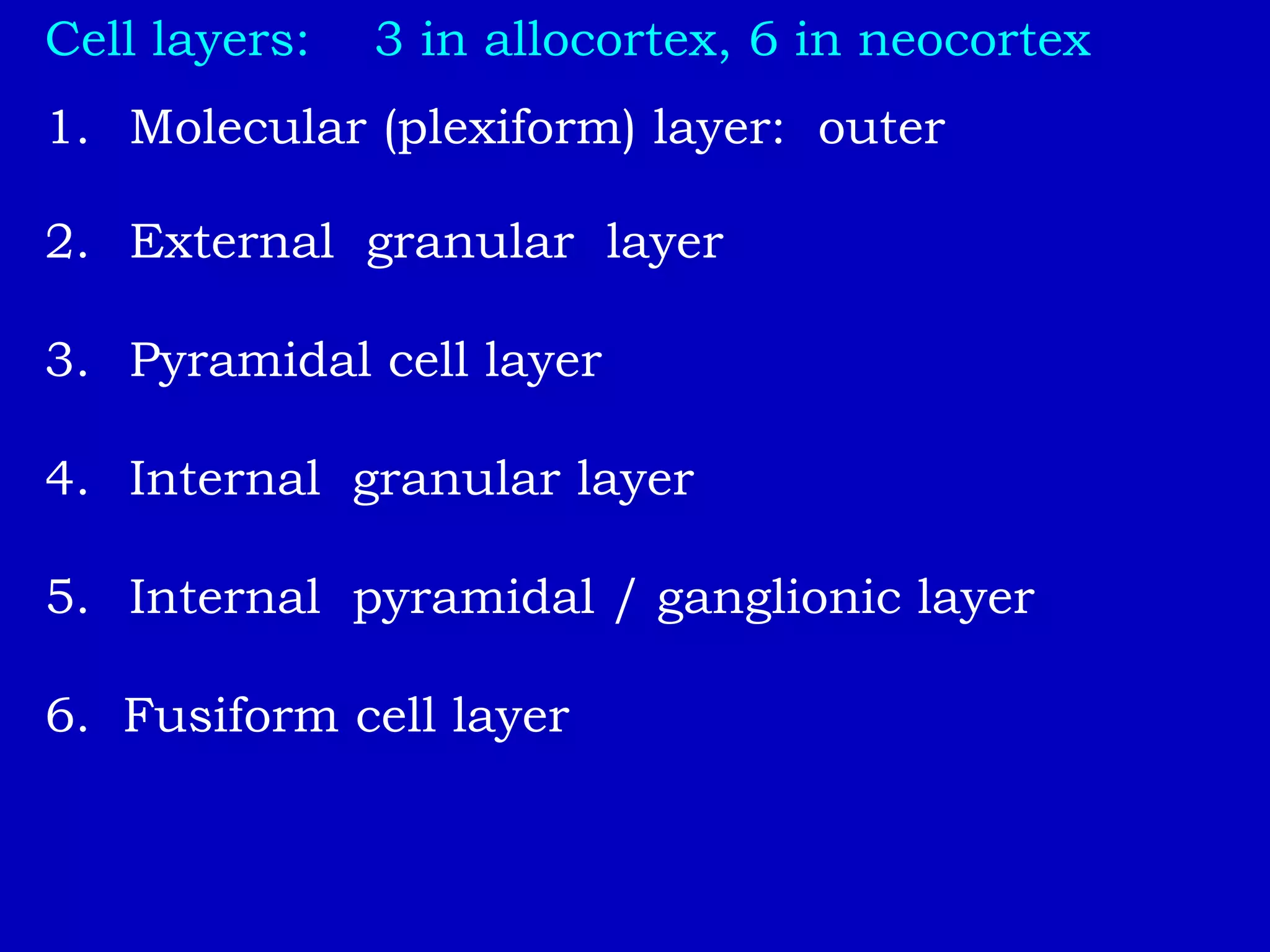 Cell layers: 3 in allocortex, 6 in neocortex
1. Molecular (plexiform) layer: outer
2. External granular layer
3. Pyramidal cell layer
4. Internal granular layer
5. Internal pyramidal / ganglionic layer
6. Fusiform cell layer
 