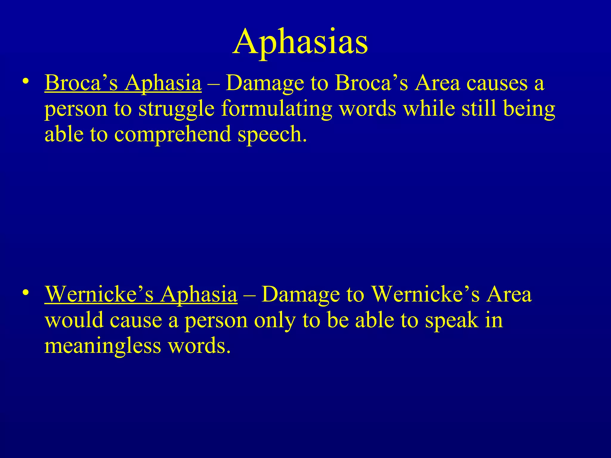 Aphasias
• Broca’s Aphasia – Damage to Broca’s Area causes a
person to struggle formulating words while still being
able to comprehend speech.
• Wernicke’s Aphasia – Damage to Wernicke’s Area
would cause a person only to be able to speak in
meaningless words.
 
