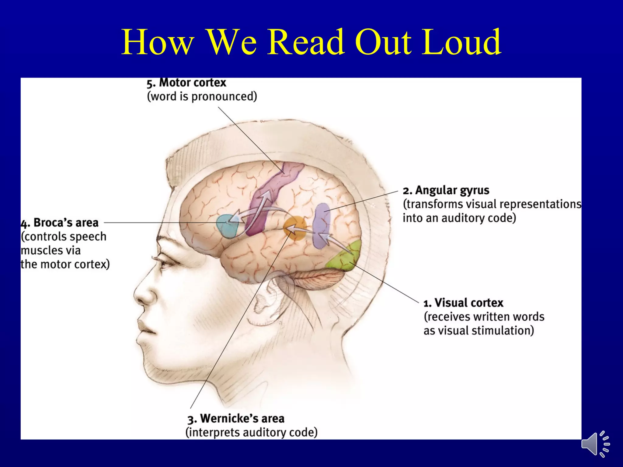How We Read Out Loud
 