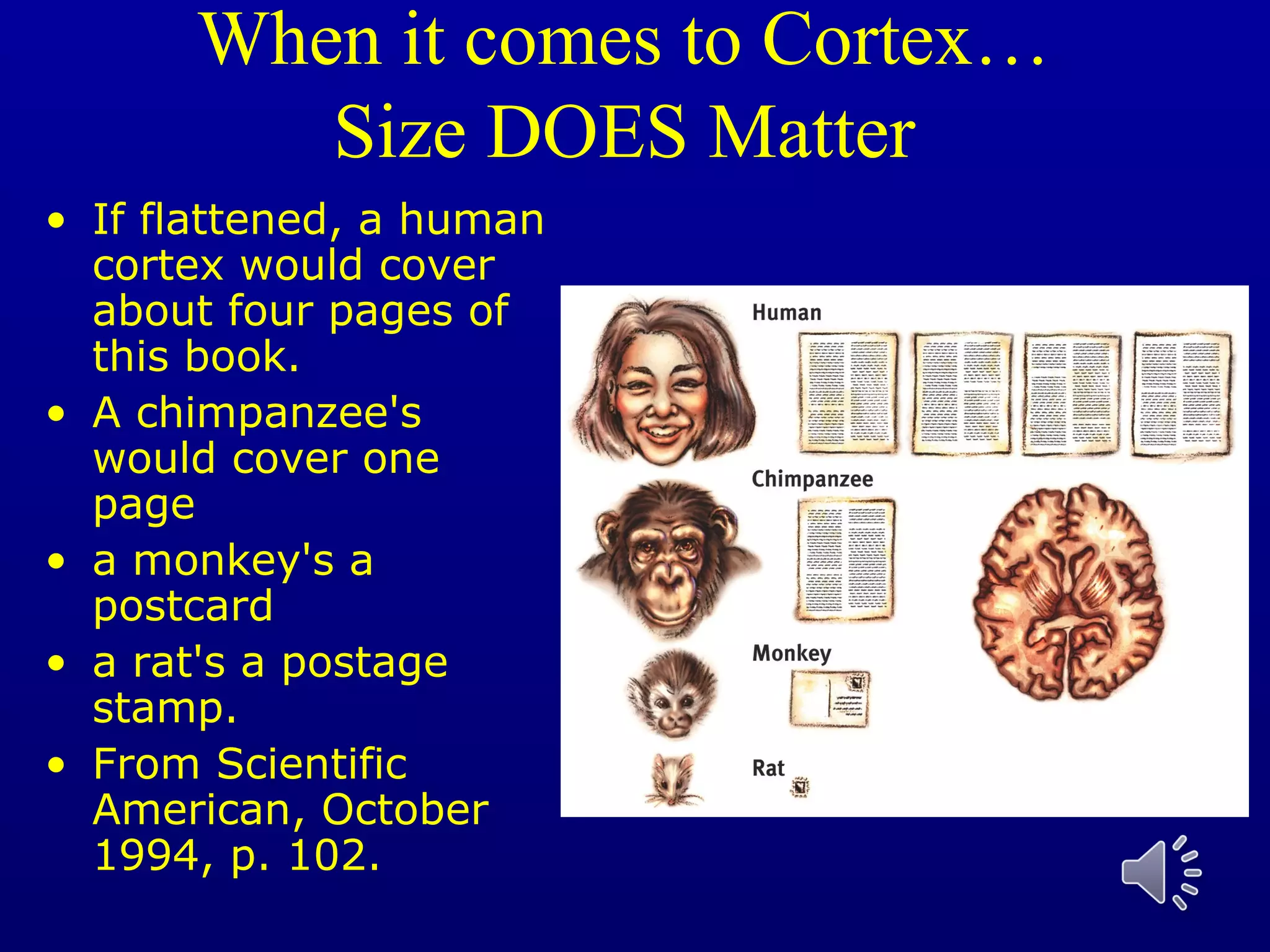 When it comes to Cortex…
Size DOES Matter
• If flattened, a human
cortex would cover
about four pages of
this book.
• A chimpanzee's
would cover one
page
• a monkey's a
postcard
• a rat's a postage
stamp.
• From Scientific
American, October
1994, p. 102.
 
