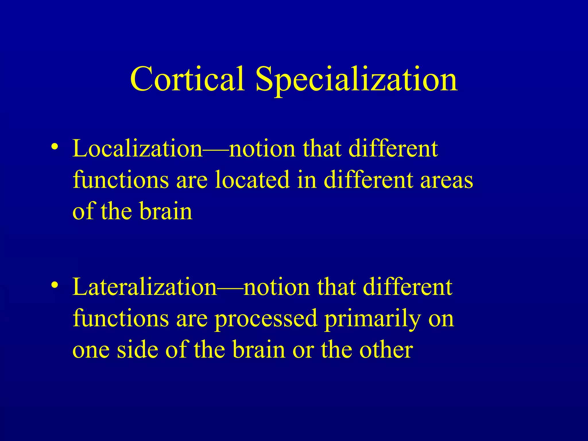 Cortical Specialization
• Localization—notion that different
functions are located in different areas
of the brain
• Lateralization—notion that different
functions are processed primarily on
one side of the brain or the other
 