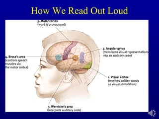 How We Read Out Loud
 