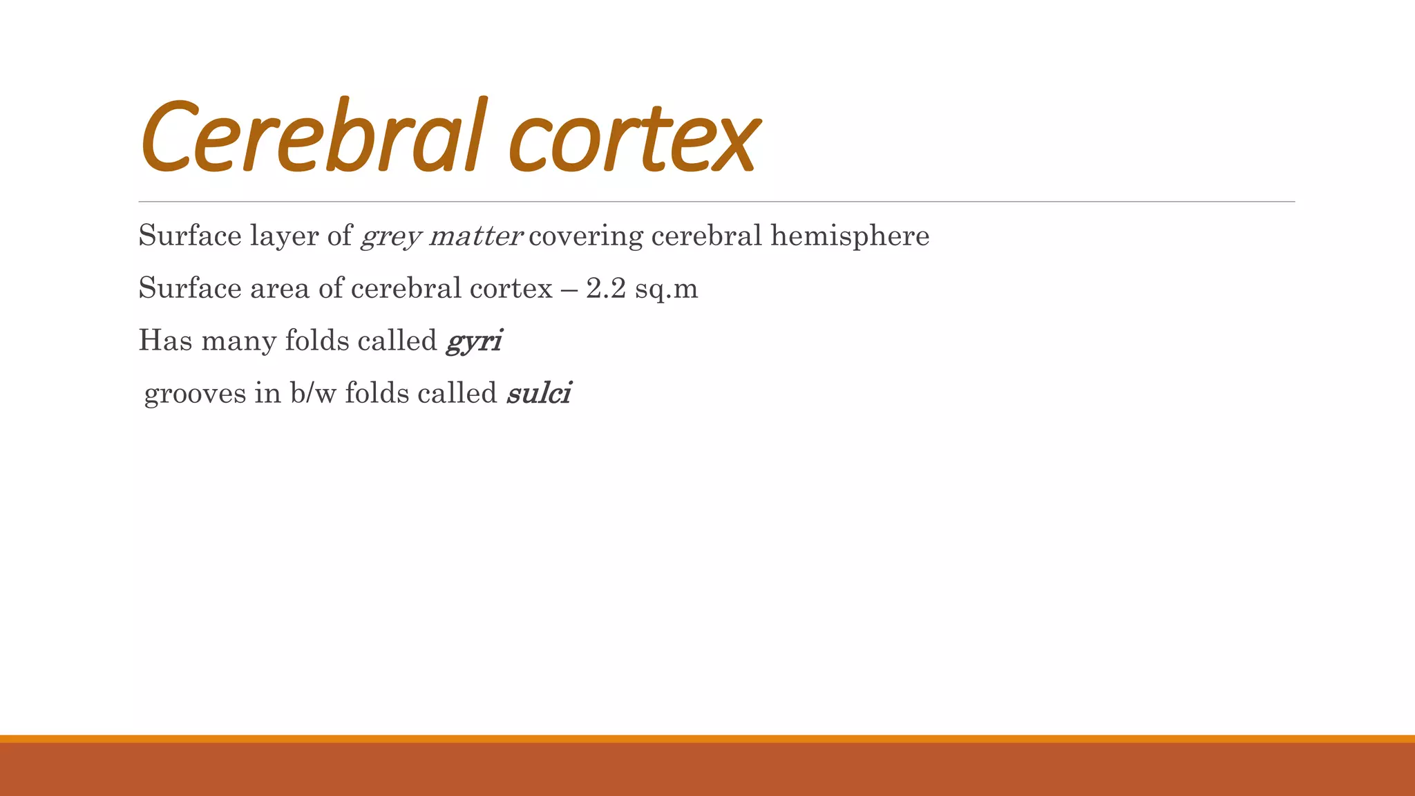 Cerebral cortex
Surface layer of grey matter covering cerebral hemisphere
Surface area of cerebral cortex – 2.2 sq.m
Has many folds called gyri
grooves in b/w folds called sulci
 