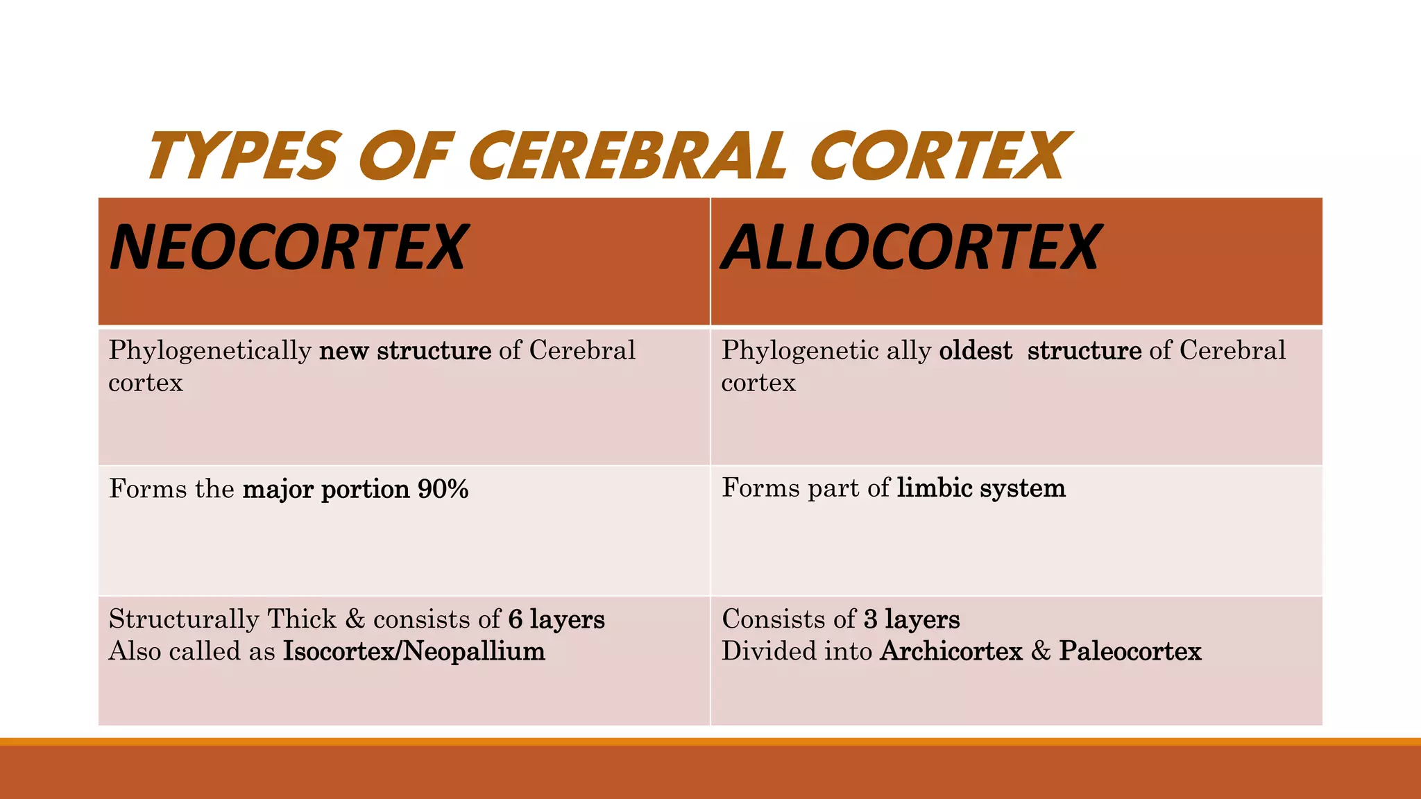TYPES OF CEREBRAL CORTEX
NEOCORTEX ALLOCORTEX
Phylogenetically new structure of Cerebral
cortex
Phylogenetic ally oldest structure of Cerebral
cortex
Forms the major portion 90% Forms part of limbic system
Structurally Thick & consists of 6 layers
Also called as Isocortex/Neopallium
Consists of 3 layers
Divided into Archicortex & Paleocortex
 