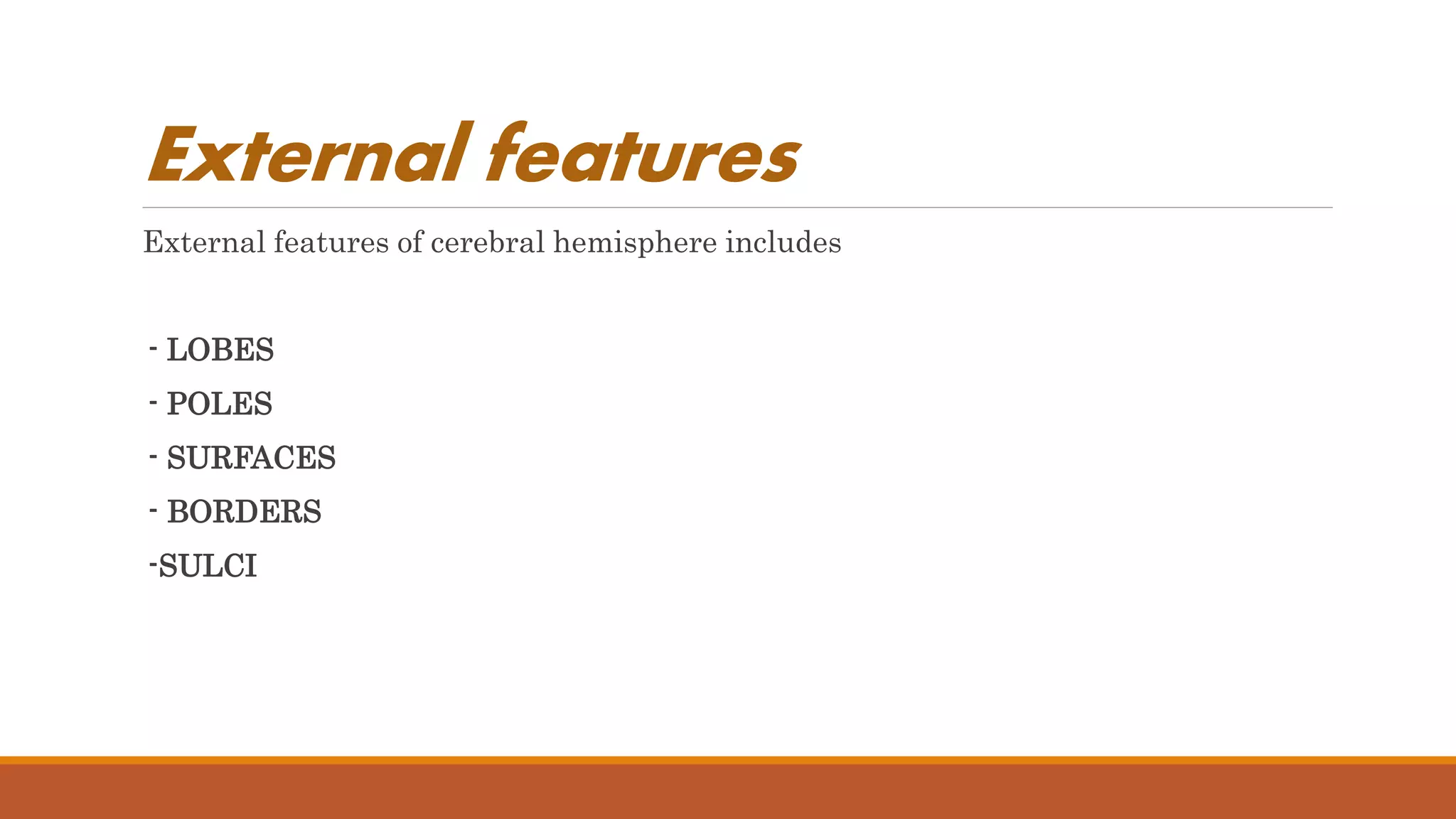 External features
External features of cerebral hemisphere includes
- LOBES
- POLES
- SURFACES
- BORDERS
-SULCI
 