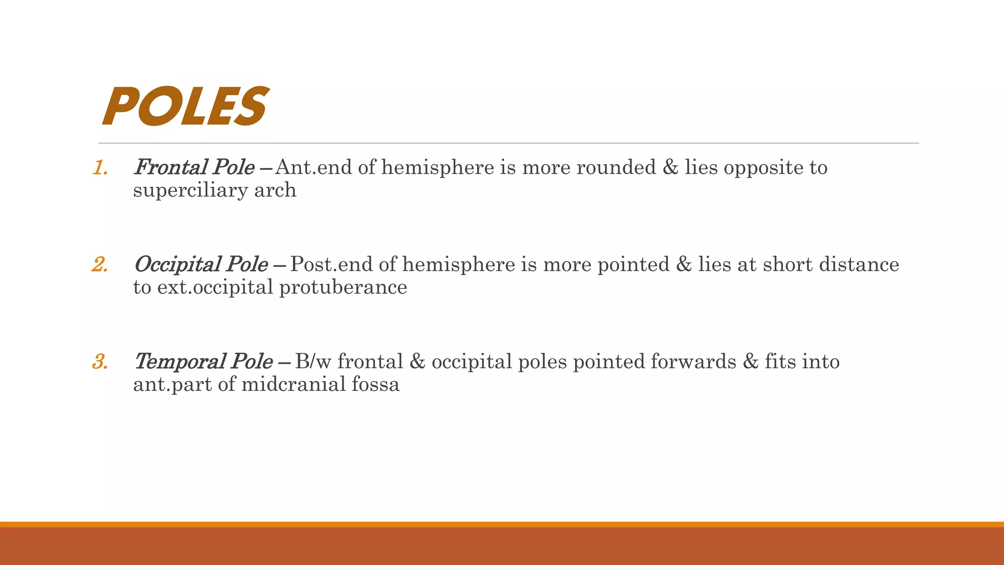POLES
1. Frontal Pole – Ant.end of hemisphere is more rounded & lies opposite to
superciliary arch
2. Occipital Pole – Post.end of hemisphere is more pointed & lies at short distance
to ext.occipital protuberance
3. Temporal Pole – B/w frontal & occipital poles pointed forwards & fits into
ant.part of midcranial fossa
 