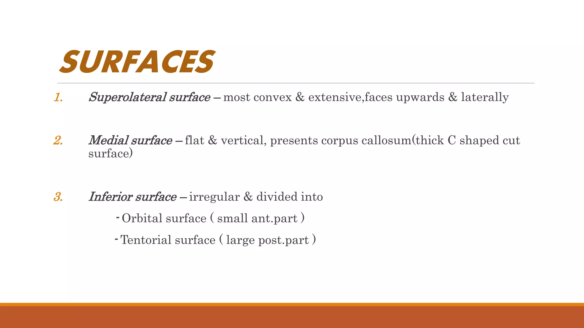 SURFACES
1. Superolateral surface – most convex & extensive,faces upwards & laterally
2. Medial surface – flat & vertical, presents corpus callosum(thick C shaped cut
surface)
3. Inferior surface – irregular & divided into
- Orbital surface ( small ant.part )
- Tentorial surface ( large post.part )
 