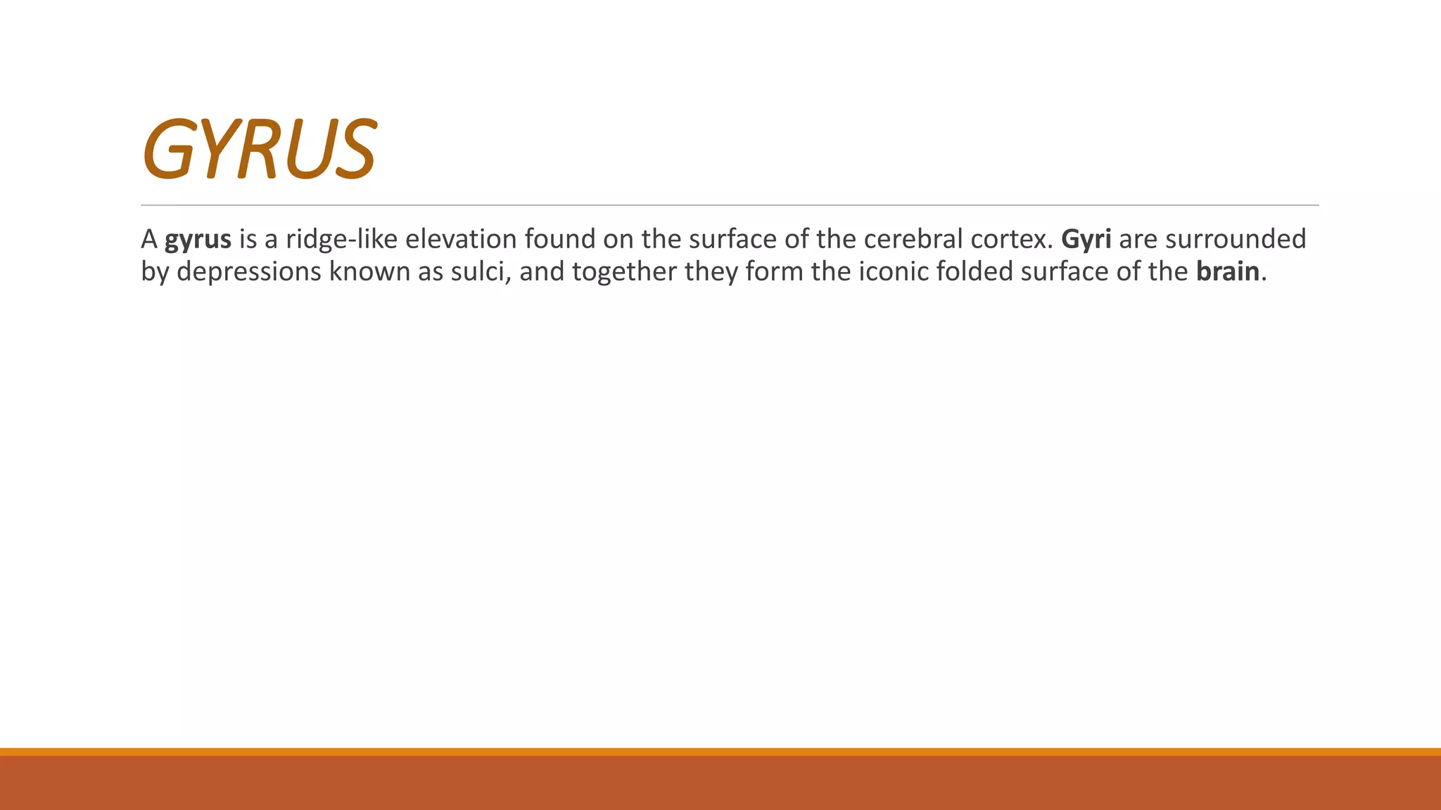 GYRUS
A gyrus is a ridge-like elevation found on the surface of the cerebral cortex. Gyri are surrounded
by depressions known as sulci, and together they form the iconic folded surface of the brain.
 