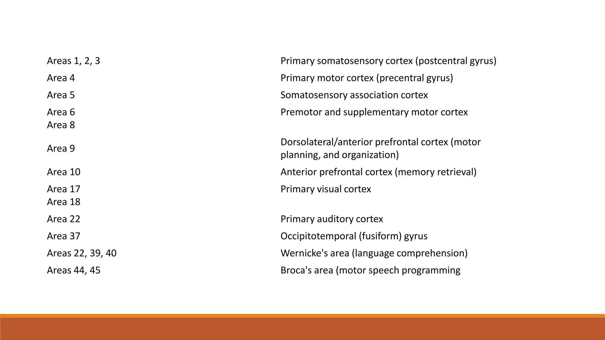 Areas 1, 2, 3 Primary somatosensory cortex (postcentral gyrus)
Area 4 Primary motor cortex (precentral gyrus)
Area 5 Somatosensory association cortex
Area 6
Area 8
Premotor and supplementary motor cortex
Area 9
Dorsolateral/anterior prefrontal cortex (motor
planning, and organization)
Area 10 Anterior prefrontal cortex (memory retrieval)
Area 17
Area 18
Primary visual cortex
Area 22 Primary auditory cortex
Area 37 Occipitotemporal (fusiform) gyrus
Areas 22, 39, 40 Wernicke's area (language comprehension)
Areas 44, 45 Broca's area (motor speech programming
 