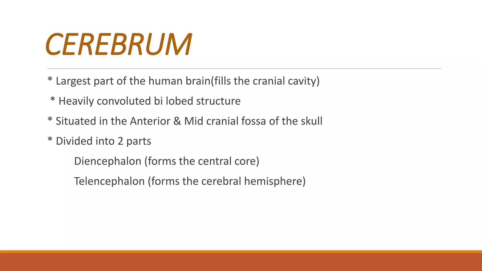 CEREBRUM
* Largest part of the human brain(fills the cranial cavity)
* Heavily convoluted bi lobed structure
* Situated in the Anterior & Mid cranial fossa of the skull
* Divided into 2 parts
Diencephalon (forms the central core)
Telencephalon (forms the cerebral hemisphere)
 