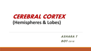 CEREBRAL CORTEX
(Hemispheres & Lobes)
ASHARA T
BOT-2018
 