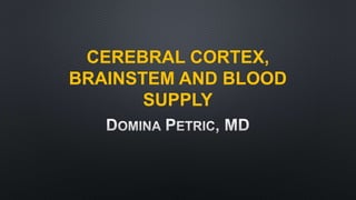 CEREBRAL CORTEX,
BRAINSTEM AND BLOOD
SUPPLY
 